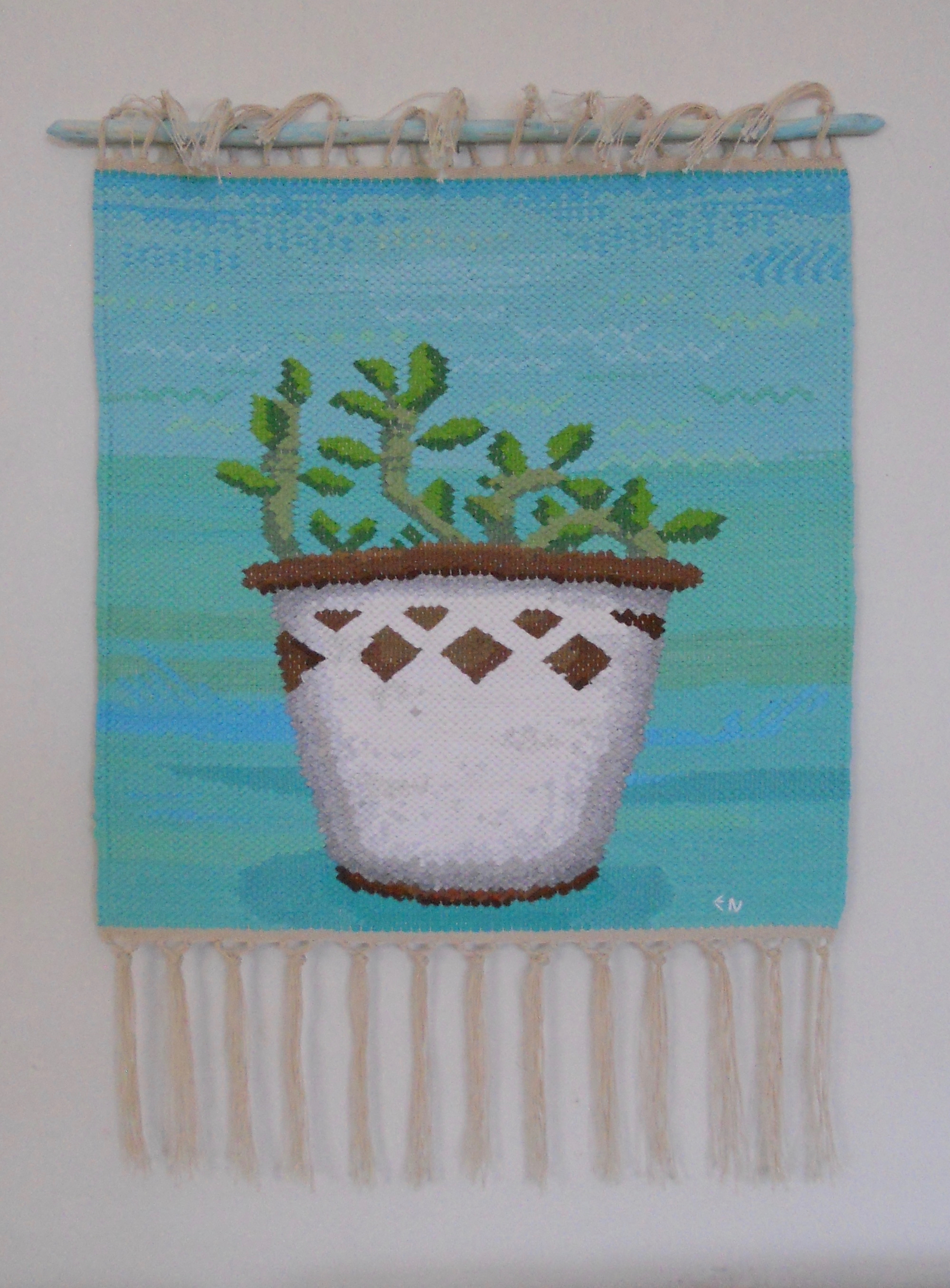 suckulent  46x65cm
 